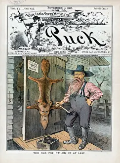 Nailed: The old fox nailed up at last