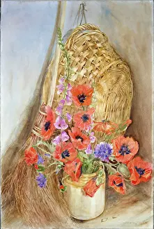 Beverley: Old Friends ' poppies in a jar