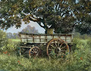 Rusty: The Old Hay Cart – under a tree