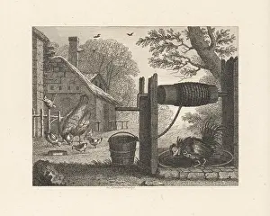 Windlass: The Old Hen and the Cock
