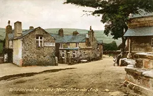 Abbot: The Old Inn, Widdecombe-in-the-Moor, Devon