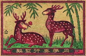 Matchboxes: Old Japanese Matchbox label with two deer