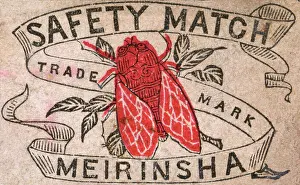 Matchboxes: Old Japanese Matchbox label with a red fly