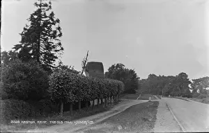 Hedges: The Old Mill in Keston