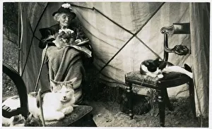Lapdog: Old lady with two dogs and two cats