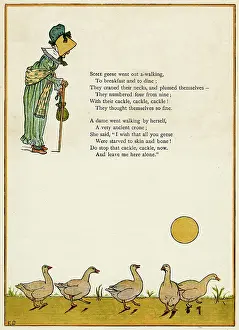 Irritated: Old lady and five geese