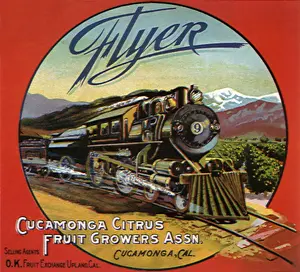 Citrus: Old Locomotive