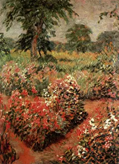 Burr: Old Lyme Garden