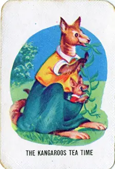 Teatime: Old Maid card game - The Kangaroos Tea Time