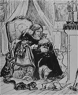 OLD MAID AND HER CATS