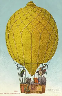 Spinster: An Old Maid's Honeymoon