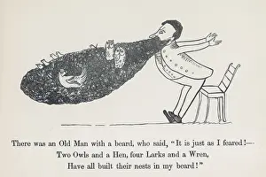 Wrens: Old Man With A Beard, Edward Lear