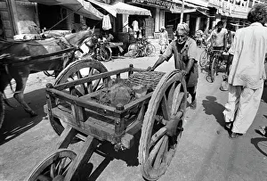 Jammu: Old man with cart, Kashmir