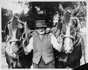 Competitor: OLD MAN AND HEAVY HORSES