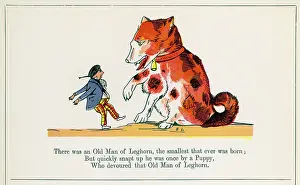 Limerick: Old Man of Leghorn, Edward Lear