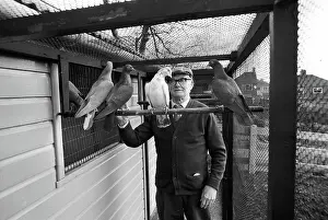 Loft: Old man in pigeon loft, Stoke