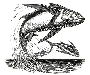 Hemingway: The Old Man and the Sea