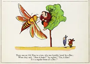 Replied: Old Man in a Tree, Edward Lear