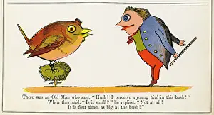 Replied: Old Man Who Said Hush, Edward Lear