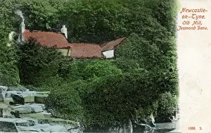 Dene: Old Mill, Jesmond Dene, County Durham