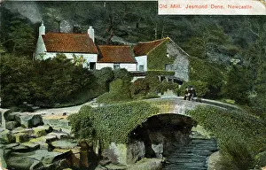 Dene: The Old Mill, Jesmond Dene, County Durham