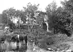 Maghera: Old Mill, Maghera, Co. Down