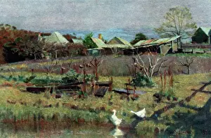 The Old Orchard