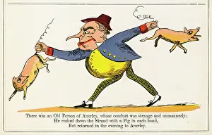 Limerick: Old Person of Anerley, Edward Lear