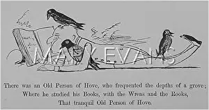 Frequented: Old Person of Hove, Edward Lear