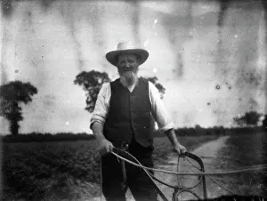 Ploughman: The Old Ploughman