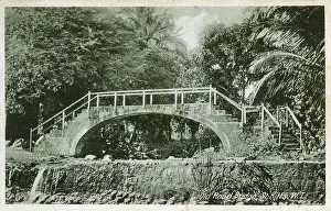 Railings: Old Road Bridge, St Kitts, West Indies