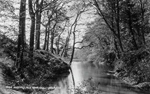 Gill: Old Roar Gill