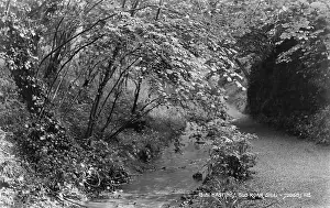 Gill: Old Roar Gill