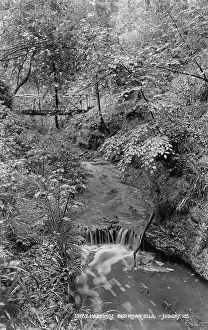 Gill: Old Roar Gill