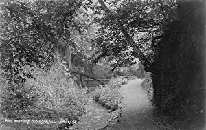 Pathway: Old Roar Gill