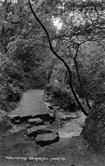 Pathway: Old Roar Gill Pathway