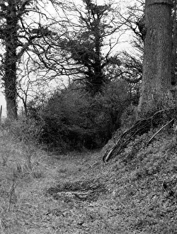Ayot: OLD ROMAN ROAD