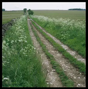 Stow: OLD ROMAN ROAD