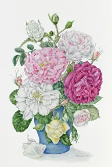 Barbier: Old Roses