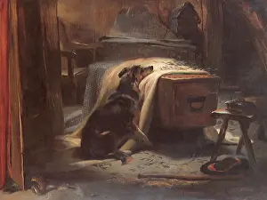 Mourner: The Old Shepherd's Chief Mourner, by Landseer