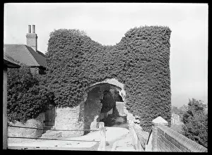 Overgrown: Old stone archway overgrown with leaves