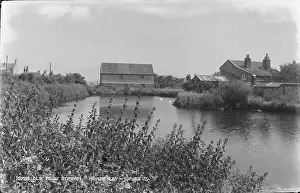 Ducks: Old Mill Stream