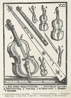 Viol: OLD STRING INSTRUMENTS