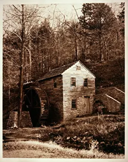 Secluded: An old mill surrounded by trees