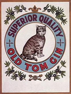 Picturpic: Old Tom Gin