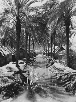 Brook: Old village in the Basra area