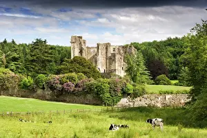 Updated: Old Wardour Castle