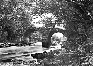 Rapids: Old Weir Bridge and Rapids, Killarney