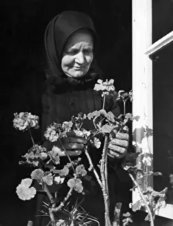Grandmother: Old woman looks after her flowers