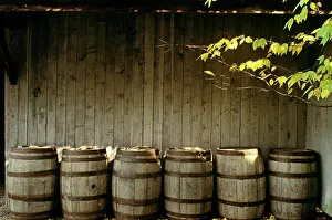 Ger002: Old wooden barrels and tree limb